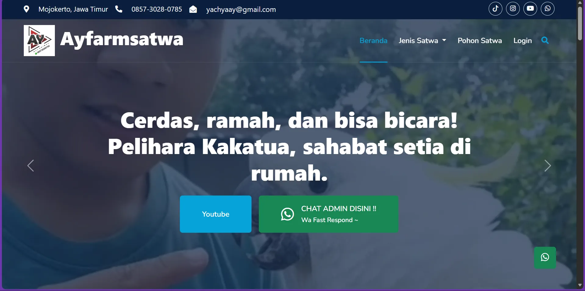 Ayfarmsatwa.com